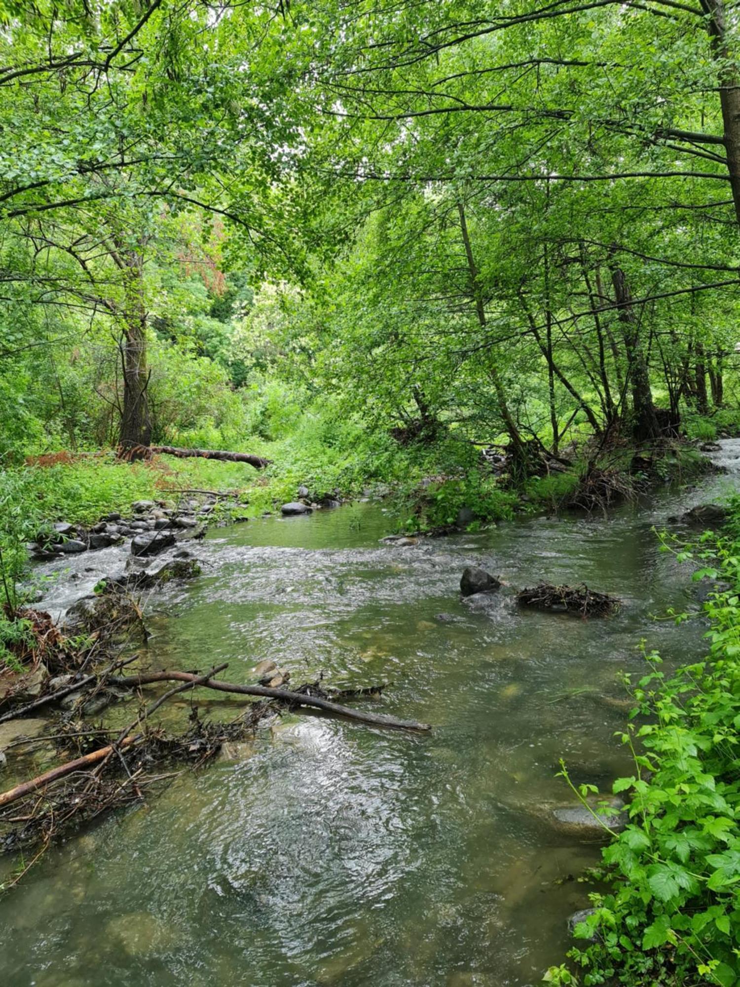 Coux Le Moulin D'Onclaire Camping Et Chambres D'Hotes מראה חיצוני תמונה